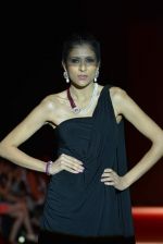 Model walk the ramp for Pooja Juneja Show at IIJW Delhi day 2 on 13th April 2013 (19).JPG